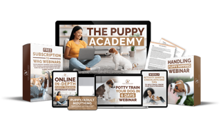 Puppy Academy Image